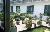 Туры в отель Shanghai Haishang Huadao Ecological Holiday Hotel Туры в отель Shanghai Haishang Huadao Ecological Holiday Hotel