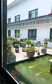 Туры в отель Shanghai Haishang Huadao Ecological Holiday Hotel Туры в отель Shanghai Haishang Huadao Ecological Holiday Hotel