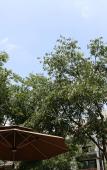 Туры в отель Yi Zhu Hangzhou Timesong cottage Hostel Туры в отель Yi Zhu Hangzhou Timesong cottage Hostel