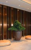 Туры в отель JI Hotel (Dalian Hi-tech Zone Wanda Plaza) Туры в отель JI Hotel (Dalian Hi-tech Zone Wanda Plaza)