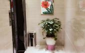 Туры в отель HanTing Hotel (Guangzhou Huadu Square Metro Station) Туры в отель HanTing Hotel (Guangzhou Huadu Square Metro Station)