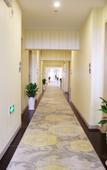 Туры в отель Q+ Bailing Ejia Business Hotel (Shanghai International Tourism Resort) Туры в отель Q+ Bailing Ejia Business Hotel (Shanghai International Tourism Resort)