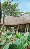 Туры в отель Heritage Le Telfair Golf & Spa Resort Туры в отель Heritage Le Telfair Golf & Spa Resort
