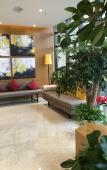 Туры в отель Homeinn Plus Hotel (Hangzhou Zijin Port Xixi Wetland) Туры в отель Homeinn Plus Hotel (Hangzhou Zijin Port Xixi Wetland)