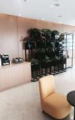 Туры в отель Homeinn Plus Hotel (Hangzhou Zijin Port Xixi Wetland) Туры в отель Homeinn Plus Hotel (Hangzhou Zijin Port Xixi Wetland)