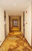 Туры в отель Zhechen Hotel (Xi'an West Chang'an Street University Town) Туры в отель Zhechen Hotel (Xi'an West Chang'an Street University Town)