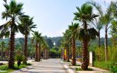 Туры в отель Rising Resort HOTEL Туры в отель Rising Resort HOTEL