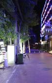Туры в отель Hongguo Fashion Hotel (Henan Museum ITC 360 Plaza) Туры в отель Hongguo Fashion Hotel (Henan Museum ITC 360 Plaza)