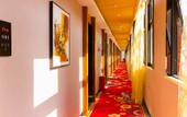 Туры в отель Hongguo Fashion Hotel (Henan Museum ITC 360 Plaza) Туры в отель Hongguo Fashion Hotel (Henan Museum ITC 360 Plaza)