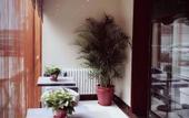 Туры в отель Green Tree Shell Inn (Tianjin Central Hospital Subway Station Store) Туры в отель Green Tree Shell Inn (Tianjin Central Hospital Subway Station Store)