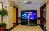 Туры в отель Green Tree Shell Inn (Tianjin Central Hospital Subway Station Store) Туры в отель Green Tree Shell Inn (Tianjin Central Hospital Subway Station Store)
