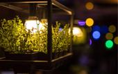 Туры в отель YESTE INT'L Hotel Туры в отель YESTE INT'L Hotel