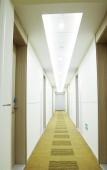 Туры в отель Jizhu Hotel (Wenzhou Shuangyu Passenger Transport Center) Туры в отель Jizhu Hotel (Wenzhou Shuangyu Passenger Transport Center)