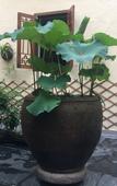 Туры в отель Dajie Xiaoyuan Chinese Inn (Chaozhou Ancient City Paifang Street) Туры в отель Dajie Xiaoyuan Chinese Inn (Chaozhou Ancient City Paifang Street)