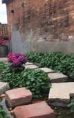 Туры в отель Nancy Chalets Туры в отель Nancy Chalets