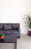 Туры в отель Shanghai Hailai Boutique Hotel Туры в отель Shanghai Hailai Boutique Hotel