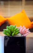 Туры в отель Shanghai Jiuduo Selected Hotel Туры в отель Shanghai Jiuduo Selected Hotel