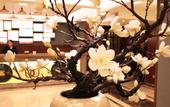 Туры в отель Lujia International Hotel Туры в отель Lujia International Hotel