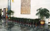 Туры в отель Mingzhu Hotel Туры в отель Mingzhu Hotel