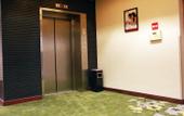 Туры в отель Nanyuan Ejiaplus Hotel (Ninghai Xizi International) Туры в отель Nanyuan Ejiaplus Hotel (Ninghai Xizi International)