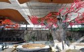 Туры в отель Beijing Yiquan Leisure Club Туры в отель Beijing Yiquan Leisure Club