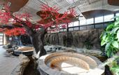 Туры в отель Beijing Yiquan Leisure Club Туры в отель Beijing Yiquan Leisure Club