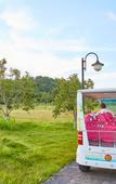 Туры в отель WUYI MOUNTAIN DAHONGPAO RESORT Туры в отель WUYI MOUNTAIN DAHONGPAO RESORT