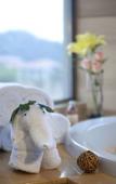 Туры в отель WUYI MOUNTAIN DAHONGPAO RESORT Туры в отель WUYI MOUNTAIN DAHONGPAO RESORT