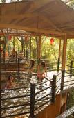 Туры в отель Jiuzhou Yizhan Resort (Yingde Tianmengou) Туры в отель Jiuzhou Yizhan Resort (Yingde Tianmengou)