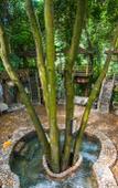 Туры в отель Jiuzhou Yizhan Resort (Yingde Tianmengou) Туры в отель Jiuzhou Yizhan Resort (Yingde Tianmengou)