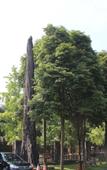 Туры в отель Huifeng Hotel Туры в отель Huifeng Hotel