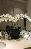 Туры в отель Dolton Changsha Spa Hotel Туры в отель Dolton Changsha Spa Hotel