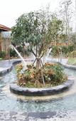 Туры в отель Huitang Huatian City Hot Spring Resort Hotel Туры в отель Huitang Huatian City Hot Spring Resort Hotel