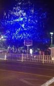 Туры в отель Homeinn Hotel (Hangzhou Qiandao Lake Intime Plaza) Туры в отель Homeinn Hotel (Hangzhou Qiandao Lake Intime Plaza)