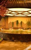 Туры в отель Royal Hot Spring Hotel Туры в отель Royal Hot Spring Hotel