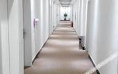 Туры в отель Homeinn Pebble Hotel (Zhengding Airport) Туры в отель Homeinn Pebble Hotel (Zhengding Airport)