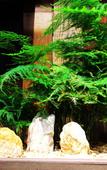 Туры в отель Huaqile Hostel Туры в отель Huaqile Hostel