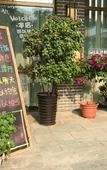 Туры в отель Yunshui Huaxi Homestay Туры в отель Yunshui Huaxi Homestay