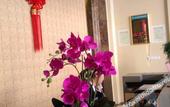 Туры в отель GreenTree Hotel (Funing Fucheng Street) Туры в отель GreenTree Hotel (Funing Fucheng Street)