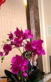 Туры в отель GreenTree Hotel (Funing Fucheng Street) Туры в отель GreenTree Hotel (Funing Fucheng Street)