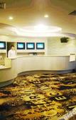 Туры в отель Dongya Business Hotel Туры в отель Dongya Business Hotel