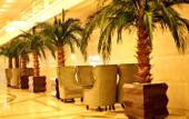 Туры в отель Faguo Hotel Туры в отель Faguo Hotel