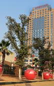 Туры в отель Furong International Hotel Туры в отель Furong International Hotel