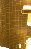 Туры в отель HanTing Hotel (Changxing Dongyufang Pedestrian Street) Туры в отель HanTing Hotel (Changxing Dongyufang Pedestrian Street)