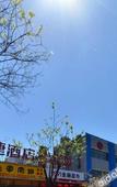 Туры в отель Manjiafu Express Hotel Туры в отель Manjiafu Express Hotel