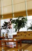 Туры в отель Haining Holiday International Hotel Туры в отель Haining Holiday International Hotel