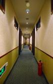Туры в отель Beijing changanfu Hotel (Beijing zhichunli subway station store) Туры в отель Beijing changanfu Hotel (Beijing zhichunli subway station store)
