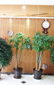 Туры в отель Huayi Selected Hotel Туры в отель Huayi Selected Hotel