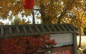 Туры в отель Dunhuang Hu Yang Inn Туры в отель Dunhuang Hu Yang Inn