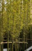 Туры в отель Xinchang Wozhou Junyi Hotel Туры в отель Xinchang Wozhou Junyi Hotel